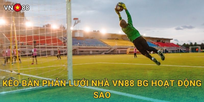 Kèo Bàn Phản Lưới Nhà Vn88 bg Hoạt Động Sao